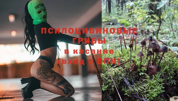 хмурый Алексин