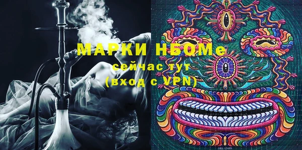хмурый Алексин