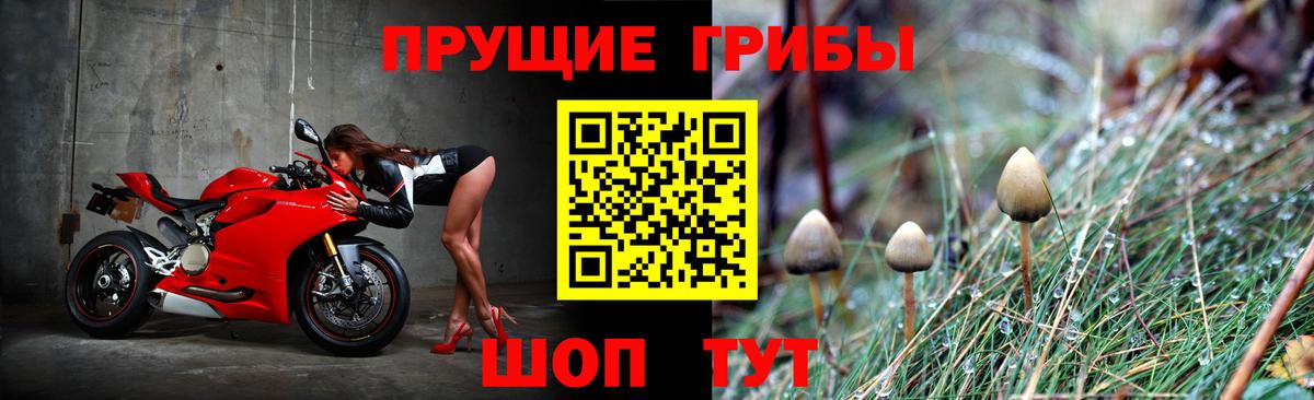 Псилоцибиновые грибы MAGIC MUSHROOMS  Вход с VPN  Лобня 